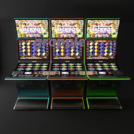 vigembus slide 1