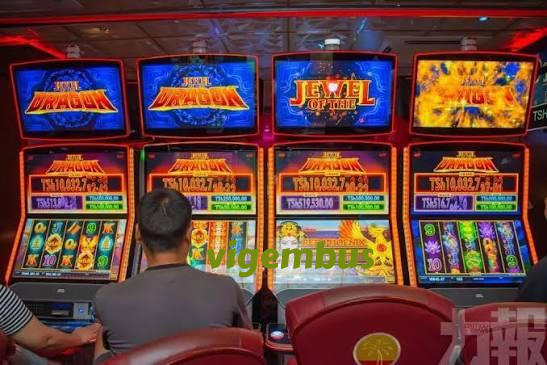 vigembus Live Game Shows at vigembus