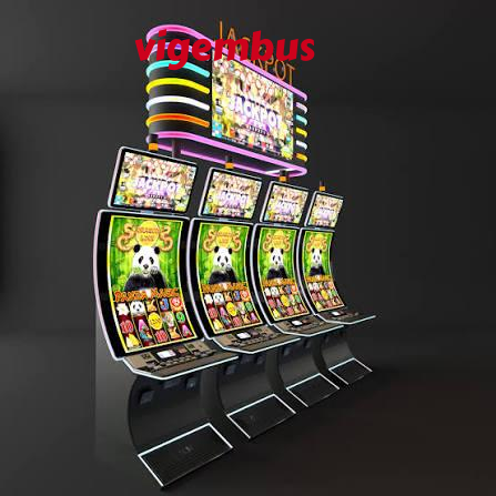 vigembus slide 1